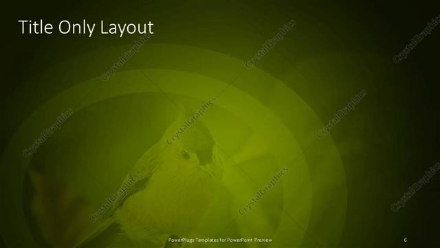 Title Only presentation slide layout