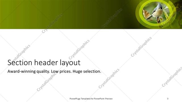 Section Header presentation slide layout