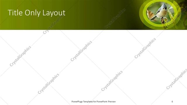 Title Only presentation slide layout