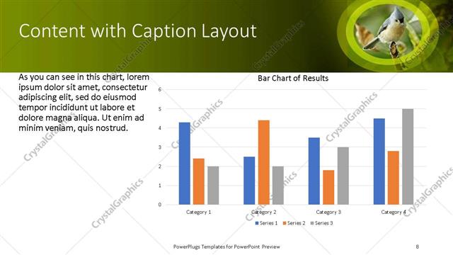 Content with Caption presentation slide layout