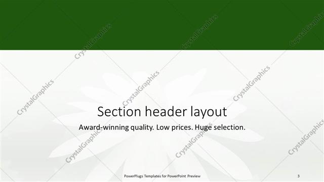 Section Header presentation slide layout