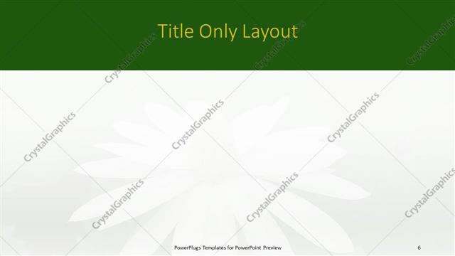 Title Only presentation slide layout