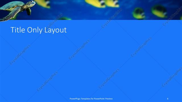 Title Only presentation slide layout