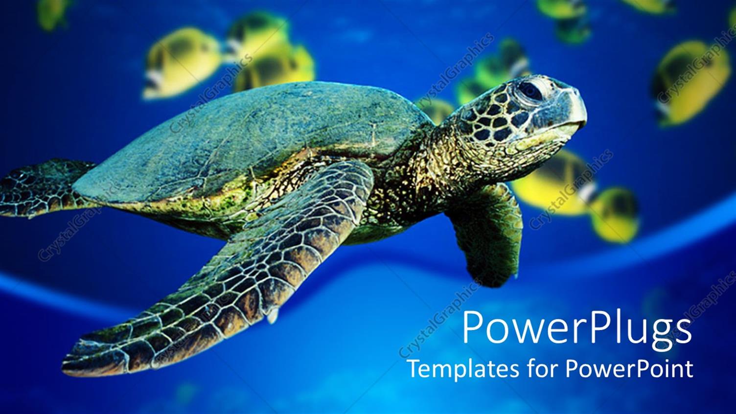 Premium Template for PowerPoint & Google Slides 