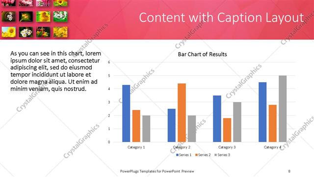 Content with Caption presentation slide layout