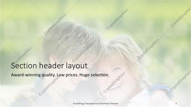 Section Header presentation slide layout