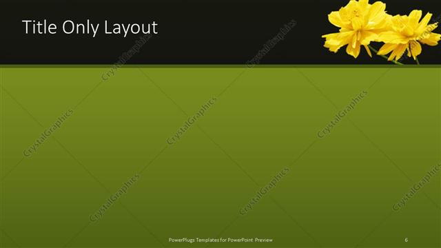 Title Only presentation slide layout