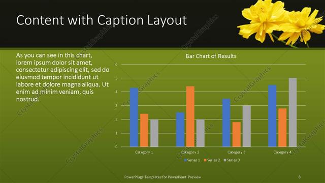 Content with Caption presentation slide layout