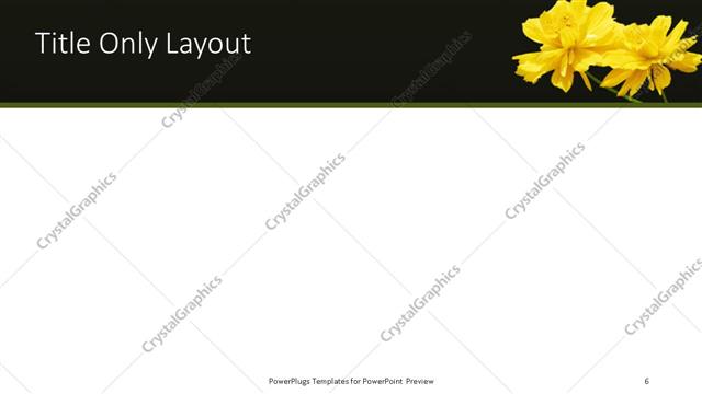 Title Only presentation slide layout