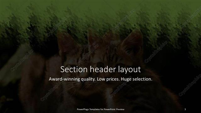 Section Header presentation slide layout