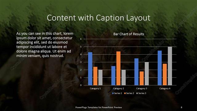 Content with Caption presentation slide layout