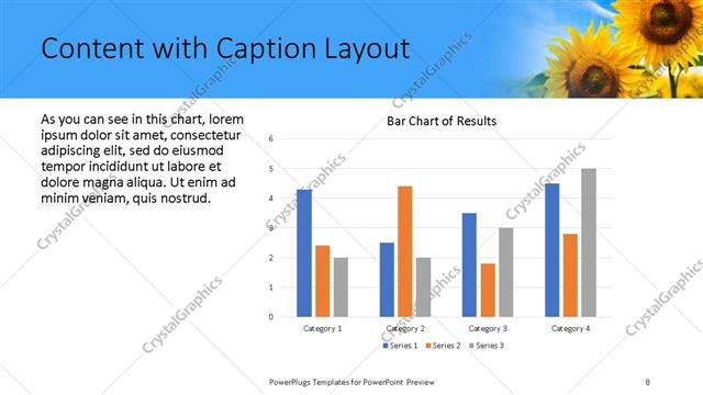 Content with Caption presentation slide layout