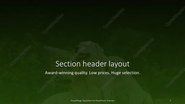 Section Header presentation slide layout