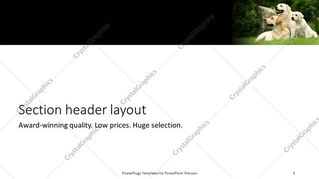 Section Header presentation slide layout