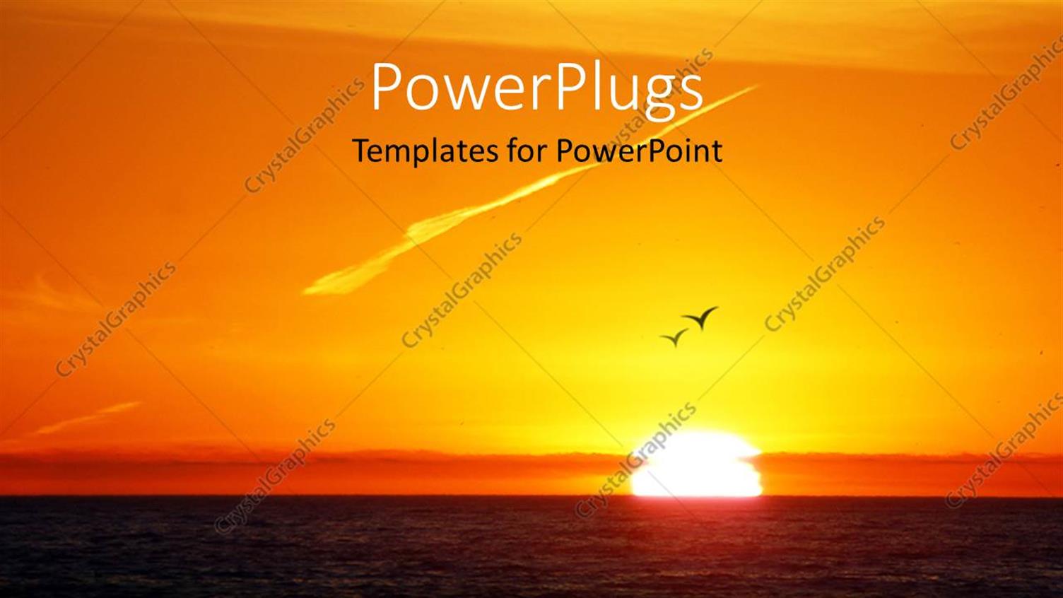Premium Template for PowerPoint & Google Slides 