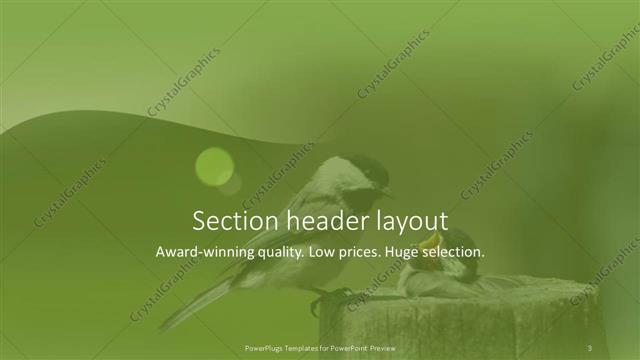 Section Header presentation slide layout