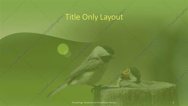Title Only presentation slide layout
