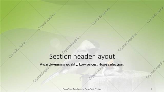Section Header presentation slide layout