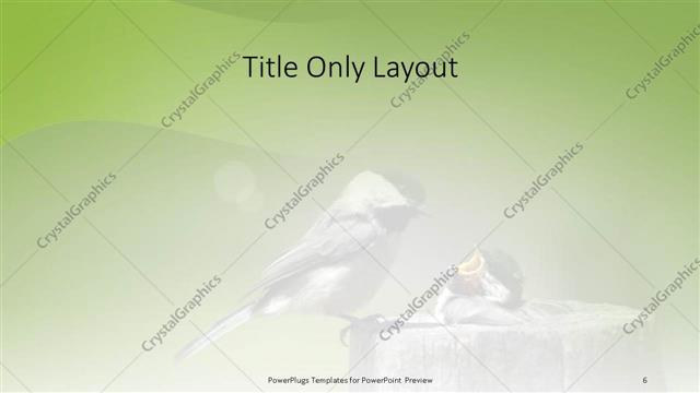 Title Only presentation slide layout