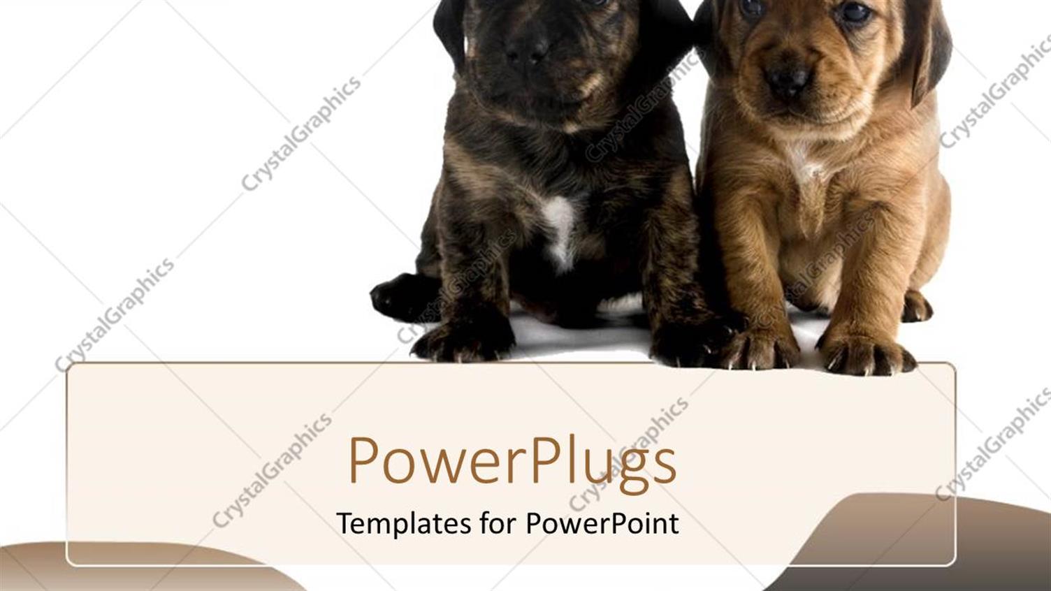 Premium Template for PowerPoint & Google Slides 