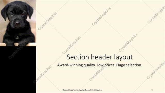 Section Header presentation slide layout