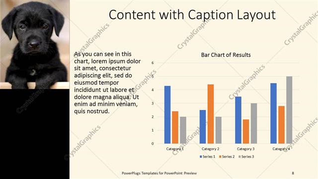 Content with Caption presentation slide layout