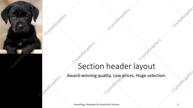 Section Header presentation slide layout