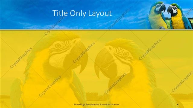 Title Only presentation slide layout