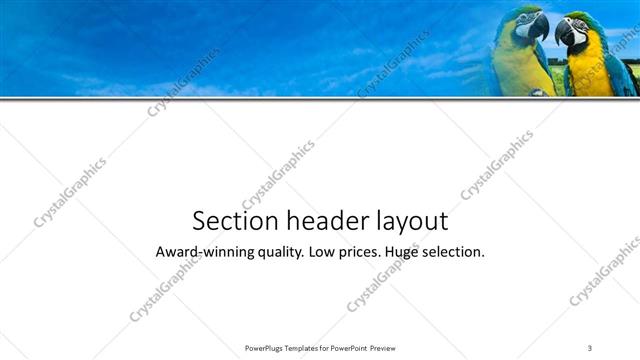 Section Header presentation slide layout