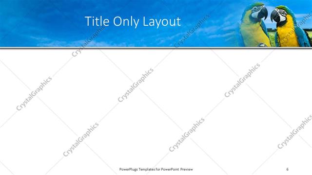 Title Only presentation slide layout