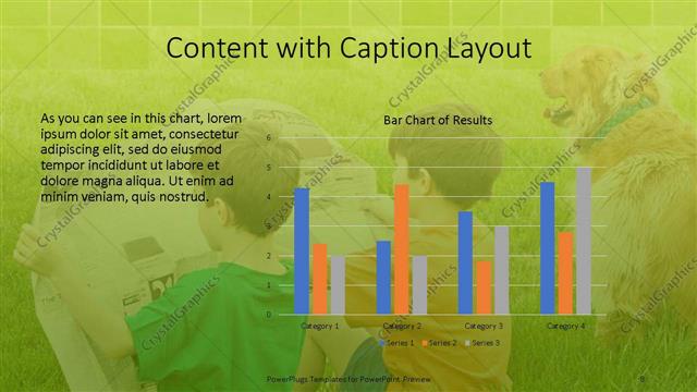 Content with Caption presentation slide layout