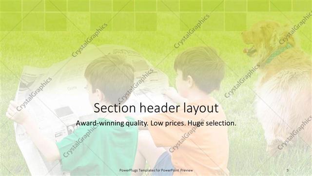 Section Header presentation slide layout
