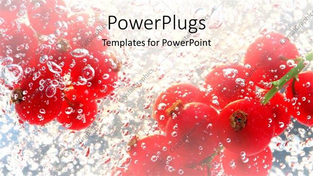  Presentation with food red - Two bunches of red cherry fruits dipped in water