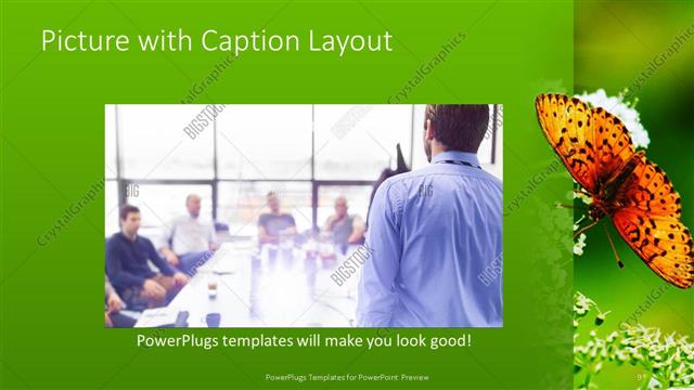 Picture with Caption presentation slide layout