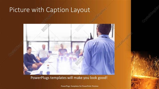 Picture with Caption presentation slide layout