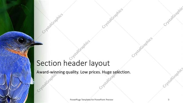 Section Header presentation slide layout