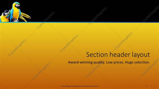 Section Header presentation slide layout