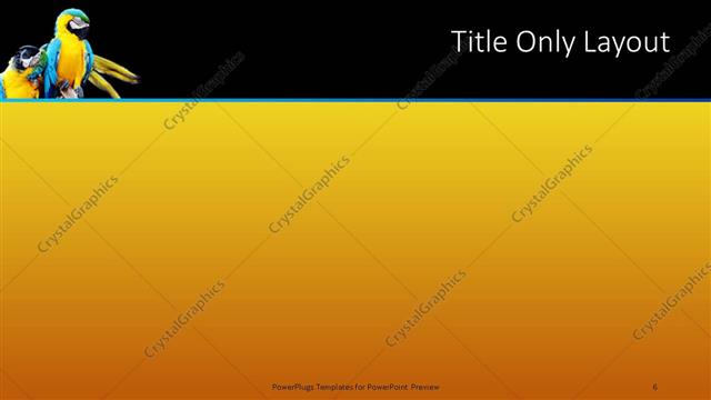 Title Only presentation slide layout