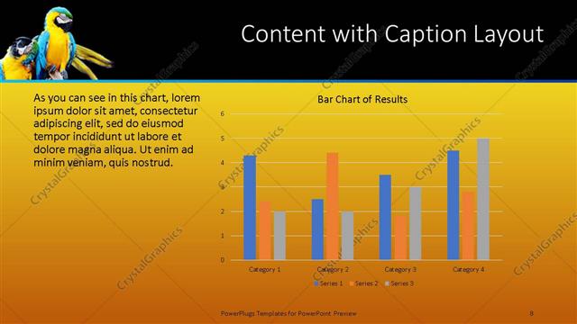 Content with Caption presentation slide layout