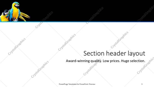 Section Header presentation slide layout