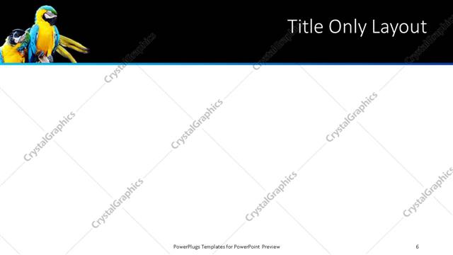 Title Only presentation slide layout