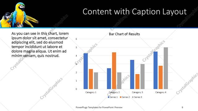 Content with Caption presentation slide layout