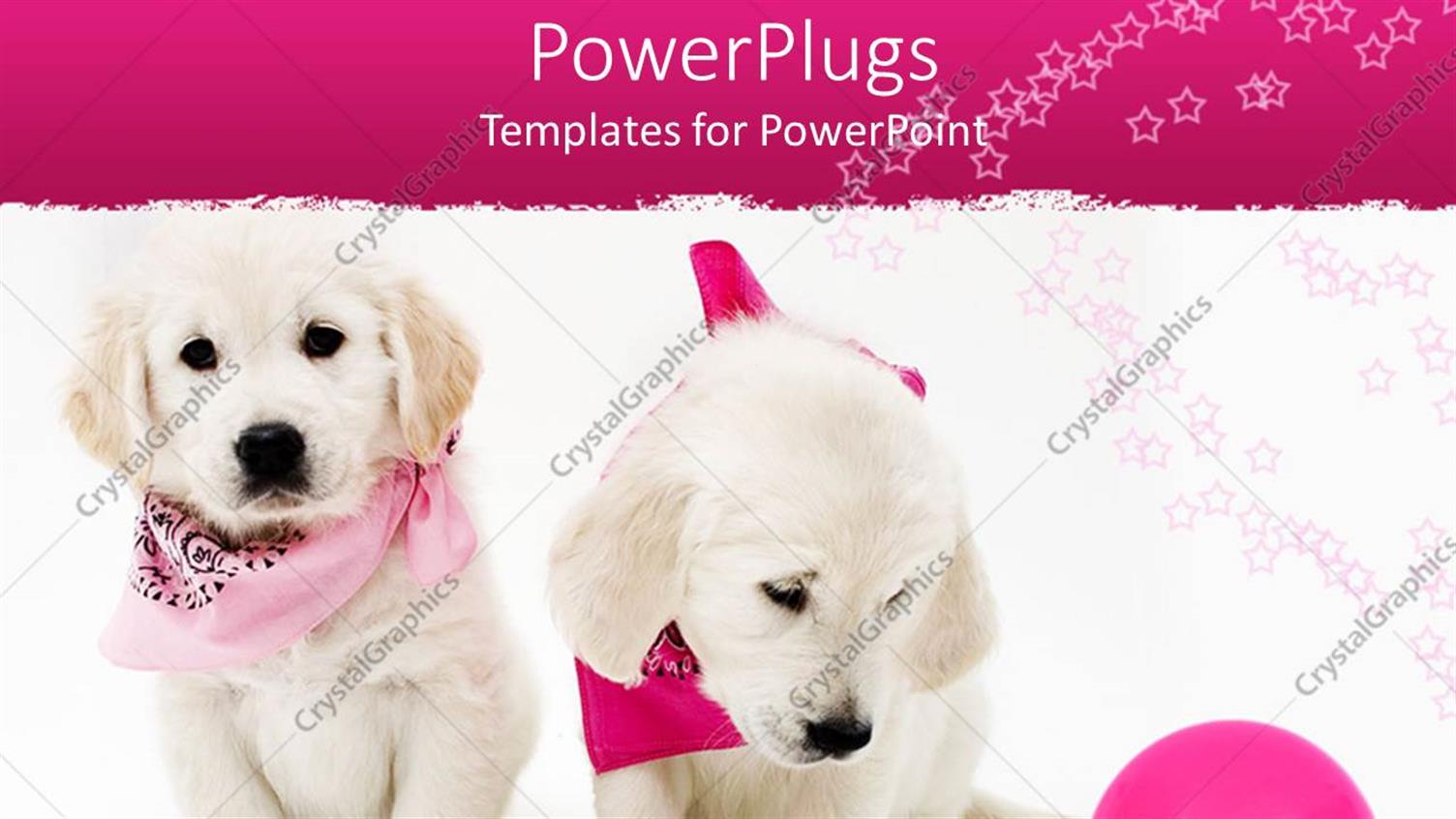 Premium Template for PowerPoint & Google Slides 