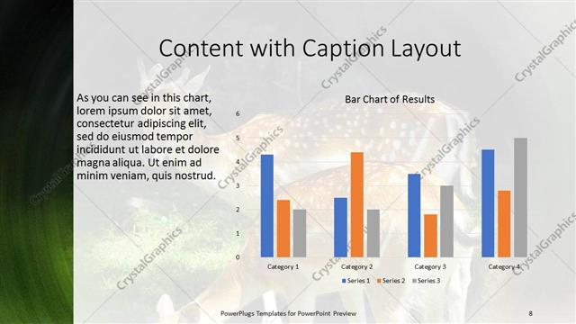 Content with Caption presentation slide layout