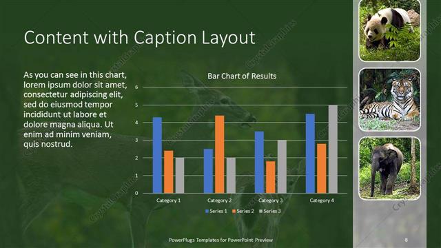 Content with Caption presentation slide layout