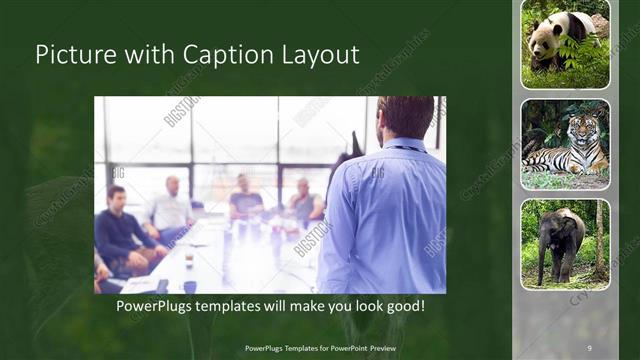 Picture with Caption presentation slide layout