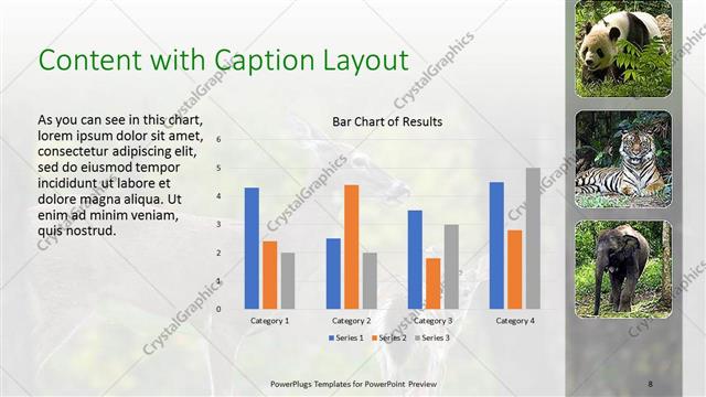 Content with Caption presentation slide layout