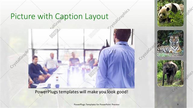 Picture with Caption presentation slide layout