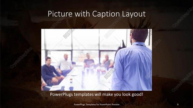 Picture with Caption presentation slide layout