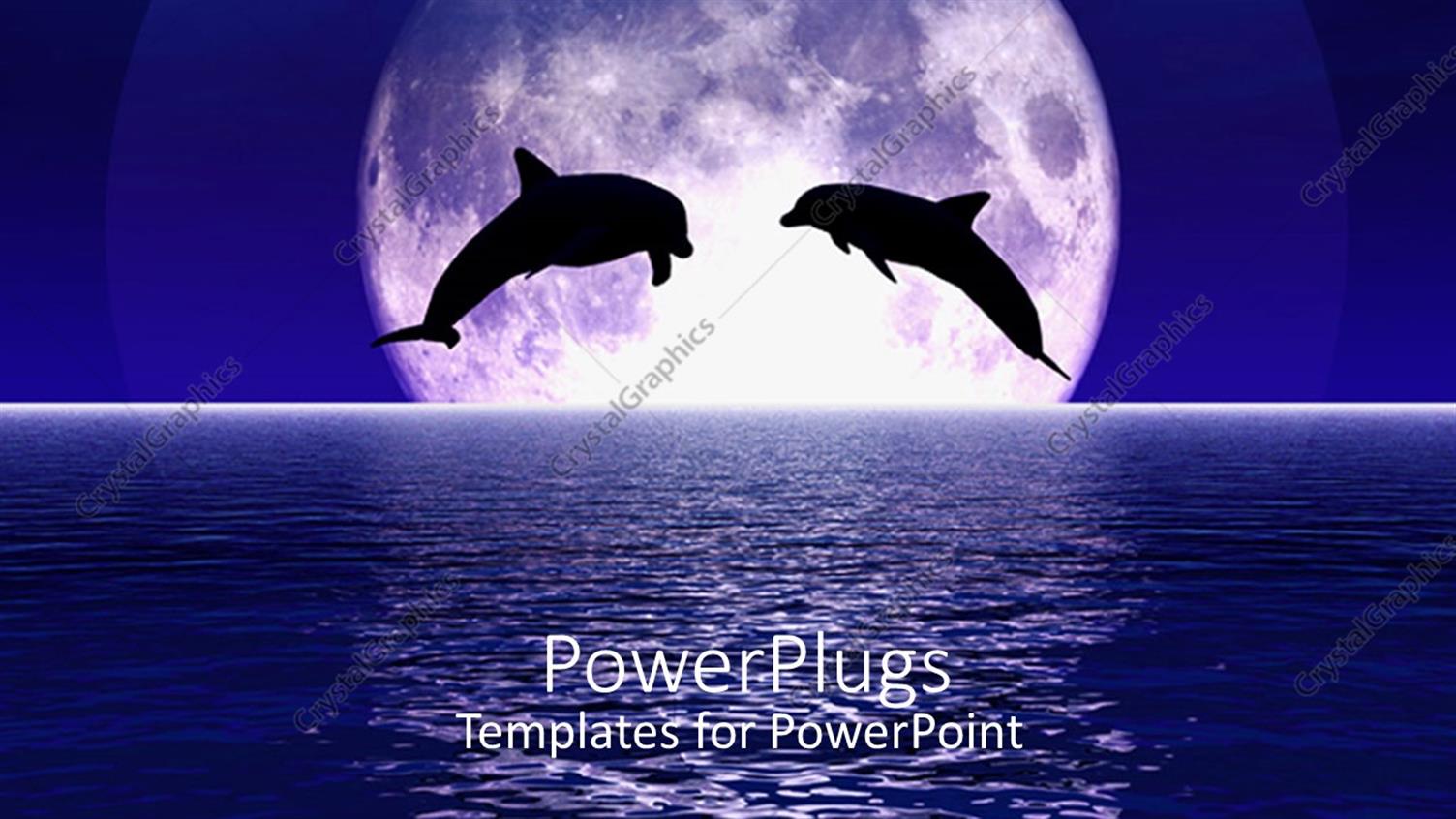 Premium Template for PowerPoint & Google Slides 